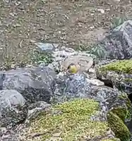 白狐山光星寺(山形県)