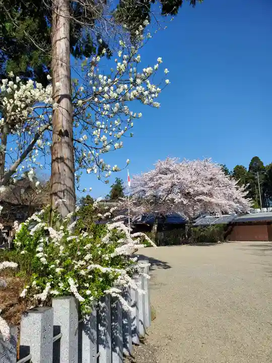 沙沙貴神社(滋賀県)