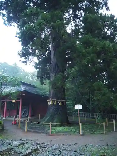 志波彦神社・鹽竈神社のその他建物