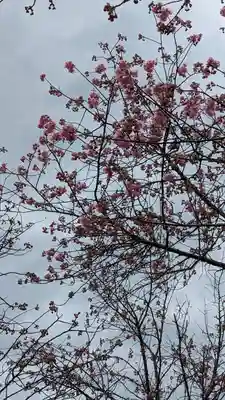 熊野若王子神社(京都府)