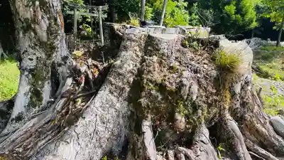 椎村神社(福井県)
