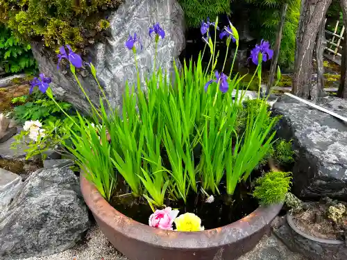 少林寺(埼玉県)