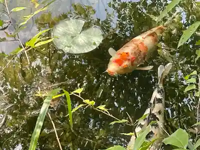 根道神社(岐阜県)