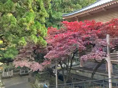 最乗寺（道了尊）(神奈川県)