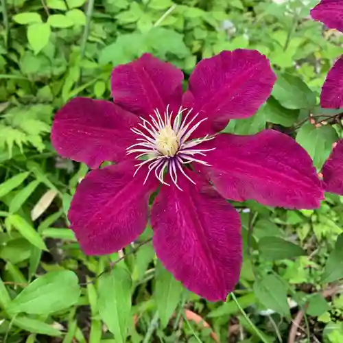 豊景神社の自然