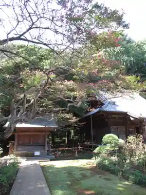 金乘院のその他建物