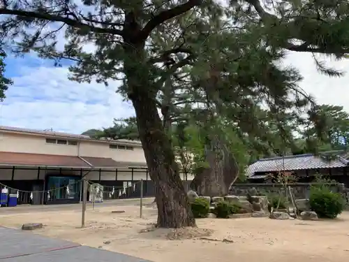 松陰神社の庭園