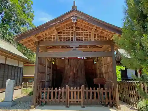 常陸二ノ宮　静神社の自然