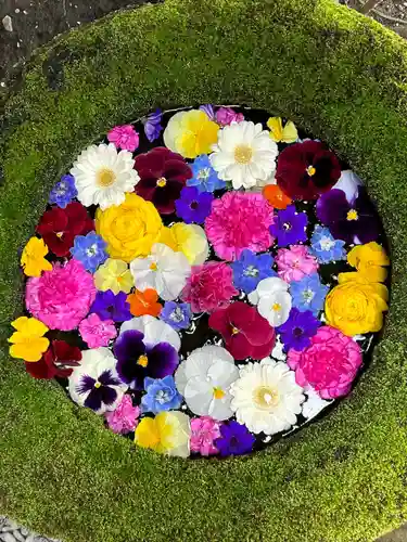 菅生神社(愛知県)