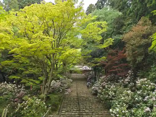 室生寺(奈良県)
