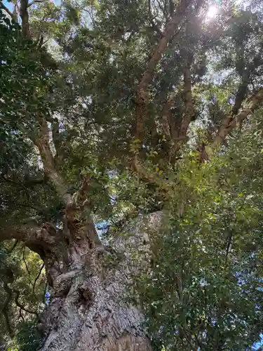 高房神社(茨城県)