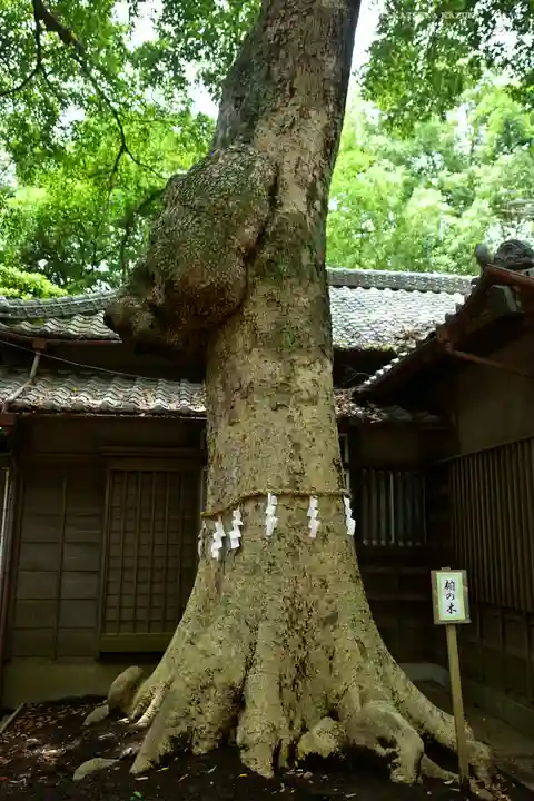 氷川女體神社(埼玉県)