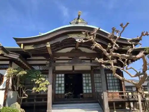 南松寺の{uncategorized: "未分類", other: "その他", undefined: "問題あり", building: "その他建物", grave: "お墓", sacred_gate: "鳥居", guardian: "狛犬", statue: "像", buddha: "仏像", history: "歴史", nature: "自然", garden: "庭園", animal: "動物", pagoda: "塔", temizu: "手水舎", mountain_gate: "山門・神門", sanctuary: "本殿・本堂", subordinate: "末社・摂社", art: "芸術", scenery: "景色", jizo: "地蔵", ema: "絵馬", goshuin: "御朱印", omikuji: "おみくじ", items: "授与品その他", amulet: "お守り", goshuincho: "御朱印帳", eats: "食事", festival: "お祭り", votive_dance: "神楽", shichigosan: "七五三参", wedding: "結婚式", experience: "体験その他", initially: "初詣", around: "周辺", anti_infection: "感染症対策"}