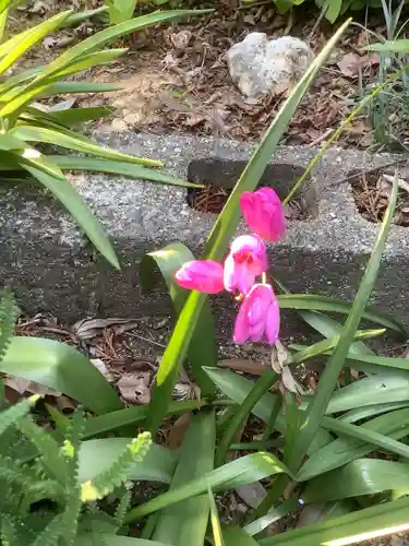 玉野御嶽神社の自然