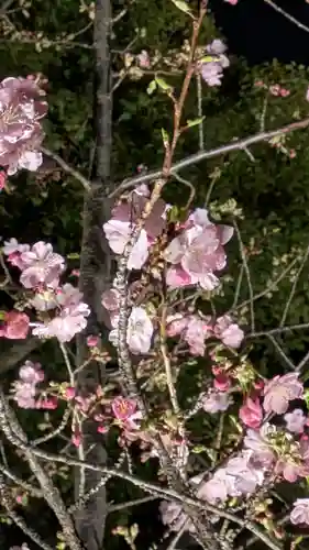 東寺（教王護国寺）(京都府)