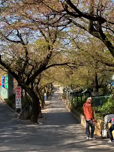 密藏院(埼玉県)