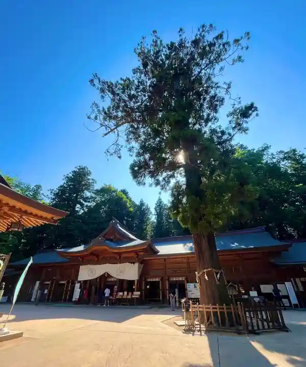 穂高神社本宮(長野県)