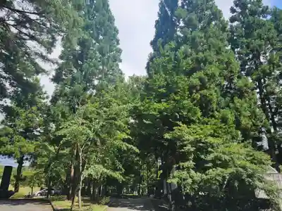 身曾岐神社(山梨県)