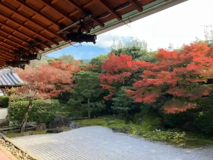 圓徳院(京都府)