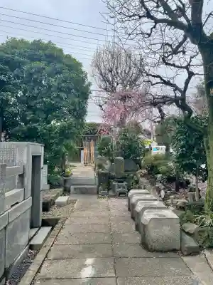 常泉寺の{uncategorized: "未分類", other: "その他", undefined: "問題あり", building: "その他建物", grave: "お墓", sacred_gate: "鳥居", guardian: "狛犬", statue: "像", buddha: "仏像", history: "歴史", nature: "自然", garden: "庭園", animal: "動物", pagoda: "塔", temizu: "手水舎", mountain_gate: "山門・神門", sanctuary: "本殿・本堂", subordinate: "末社・摂社", art: "芸術", scenery: "景色", jizo: "地蔵", ema: "絵馬", goshuin: "御朱印", omikuji: "おみくじ", items: "授与品その他", amulet: "お守り", goshuincho: "御朱印帳", eats: "食事", festival: "お祭り", votive_dance: "神楽", shichigosan: "七五三参", wedding: "結婚式", experience: "体験その他", initially: "初詣", around: "周辺", anti_infection: "感染症対策"}