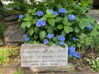 玉林寺(東京都)