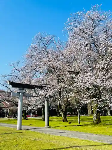 守りの神　藤基神社の鳥居