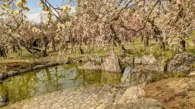 北野天満宮(京都府)