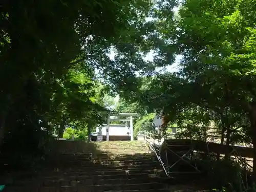 新田神社の建物その他