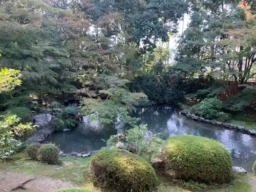 隨心院（随心院）の庭園