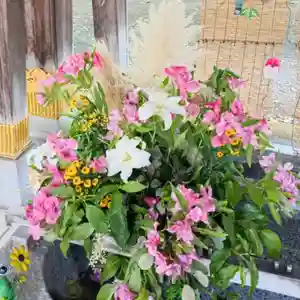 彌彦神社 (伊夜日子神社)(北海道)(2025年08月03日(日) 09時03分06秒投稿)