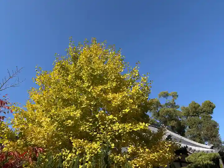 一乗院(和歌山県)