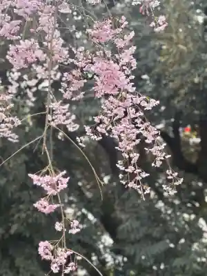 宇都宮二荒山神社の{uncategorized: "未分類", other: "その他", undefined: "問題あり", building: "その他建物", grave: "お墓", sacred_gate: "鳥居", guardian: "狛犬", statue: "像", buddha: "仏像", history: "歴史", nature: "自然", garden: "庭園", animal: "動物", pagoda: "塔", temizu: "手水舎", mountain_gate: "山門・神門", sanctuary: "本殿・本堂", subordinate: "末社・摂社", art: "芸術", scenery: "景色", jizo: "地蔵", ema: "絵馬", goshuin: "御朱印", omikuji: "おみくじ", items: "授与品その他", amulet: "お守り", goshuincho: "御朱印帳", eats: "食事", festival: "お祭り", votive_dance: "神楽", shichigosan: "七五三参", wedding: "結婚式", experience: "体験その他", initially: "初詣", around: "周辺", anti_infection: "感染症対策"}
