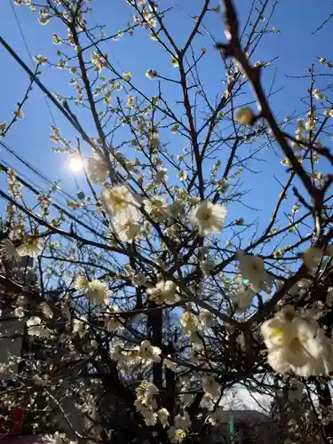 筑波山神社(茨城県)