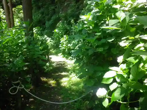 御霊神社の自然