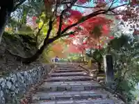 化野念仏寺(京都府)