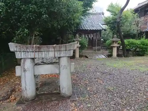 素盞嗚神社 -輪くぐりさん-の鳥居