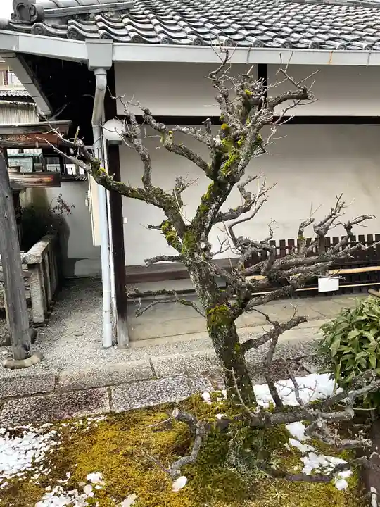 正傳(正伝)永源院の自然