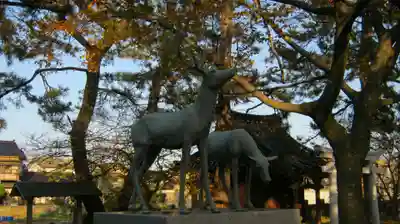 春日神社の狛犬