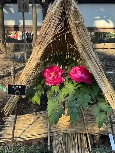 上野東照宮(東京都)