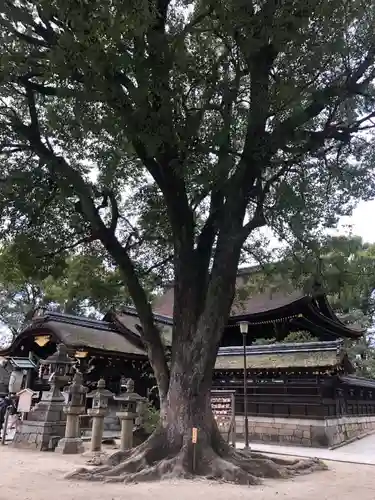 藤森神社の自然