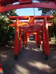 一葉稲荷神社の鳥居