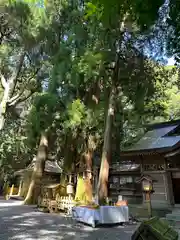 高千穂神社(宮崎県)