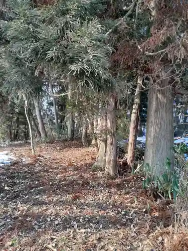 江越観音堂の周辺