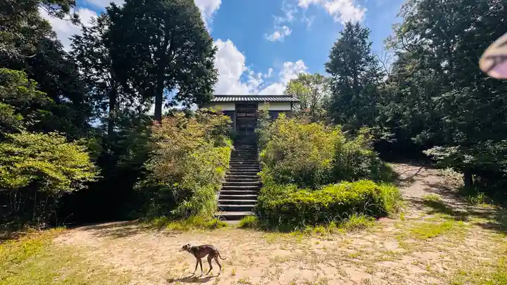 金刀比羅宮(京都府)