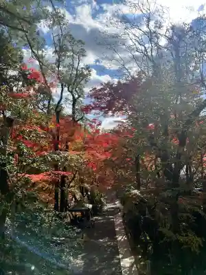 神峯山寺(大阪府)