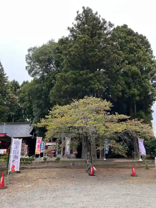 三光稲荷神社(福島県)