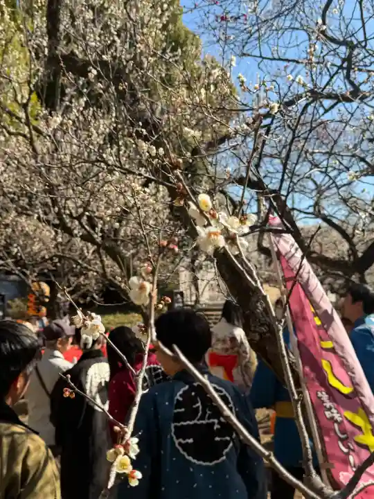 谷保天満宮の{uncategorized: "未分類", other: "その他", undefined: "問題あり", building: "その他建物", grave: "お墓", sacred_gate: "鳥居", guardian: "狛犬", statue: "像", buddha: "仏像", history: "歴史", nature: "自然", garden: "庭園", animal: "動物", pagoda: "塔", temizu: "手水舎", mountain_gate: "山門・神門", sanctuary: "本殿・本堂", subordinate: "末社・摂社", art: "芸術", scenery: "景色", jizo: "地蔵", ema: "絵馬", goshuin: "御朱印", omikuji: "おみくじ", items: "授与品その他", amulet: "お守り", goshuincho: "御朱印帳", eats: "食事", festival: "お祭り", votive_dance: "神楽", shichigosan: "七五三参", wedding: "結婚式", experience: "体験その他", initially: "初詣", around: "周辺", anti_infection: "感染症対策"}