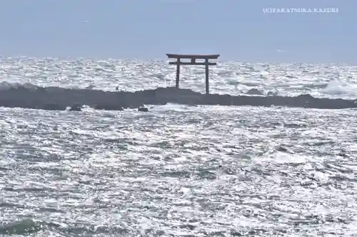 森戸大明神（森戸神社）の鳥居