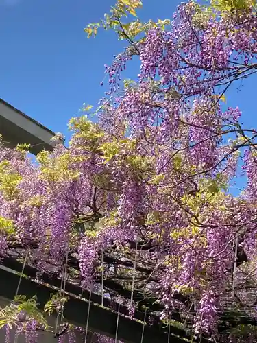 國領神社の自然