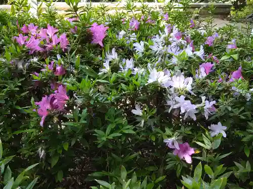 阿智神社(岡山県)